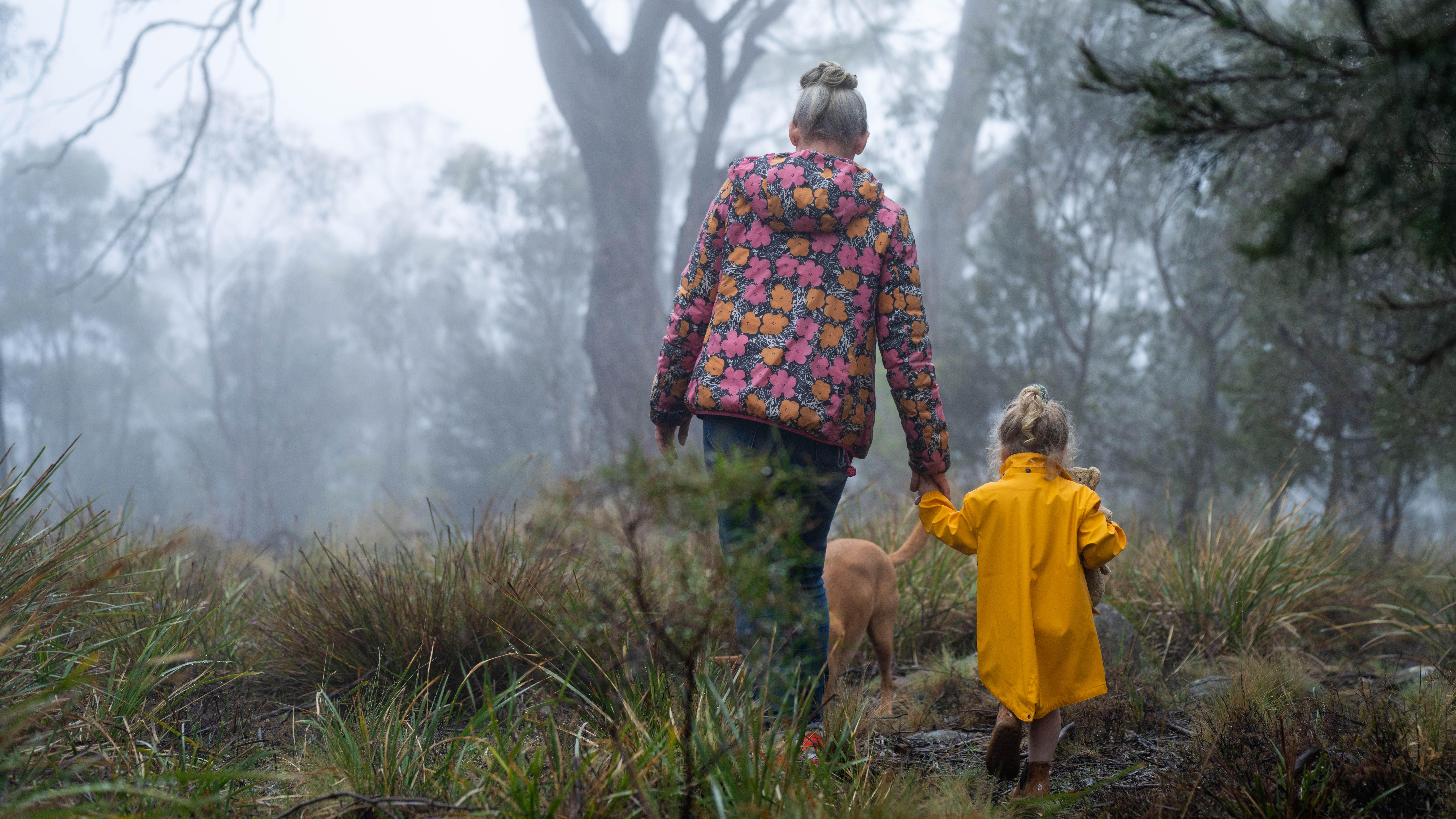 National Community Attitudes towards Violence against Women Survey