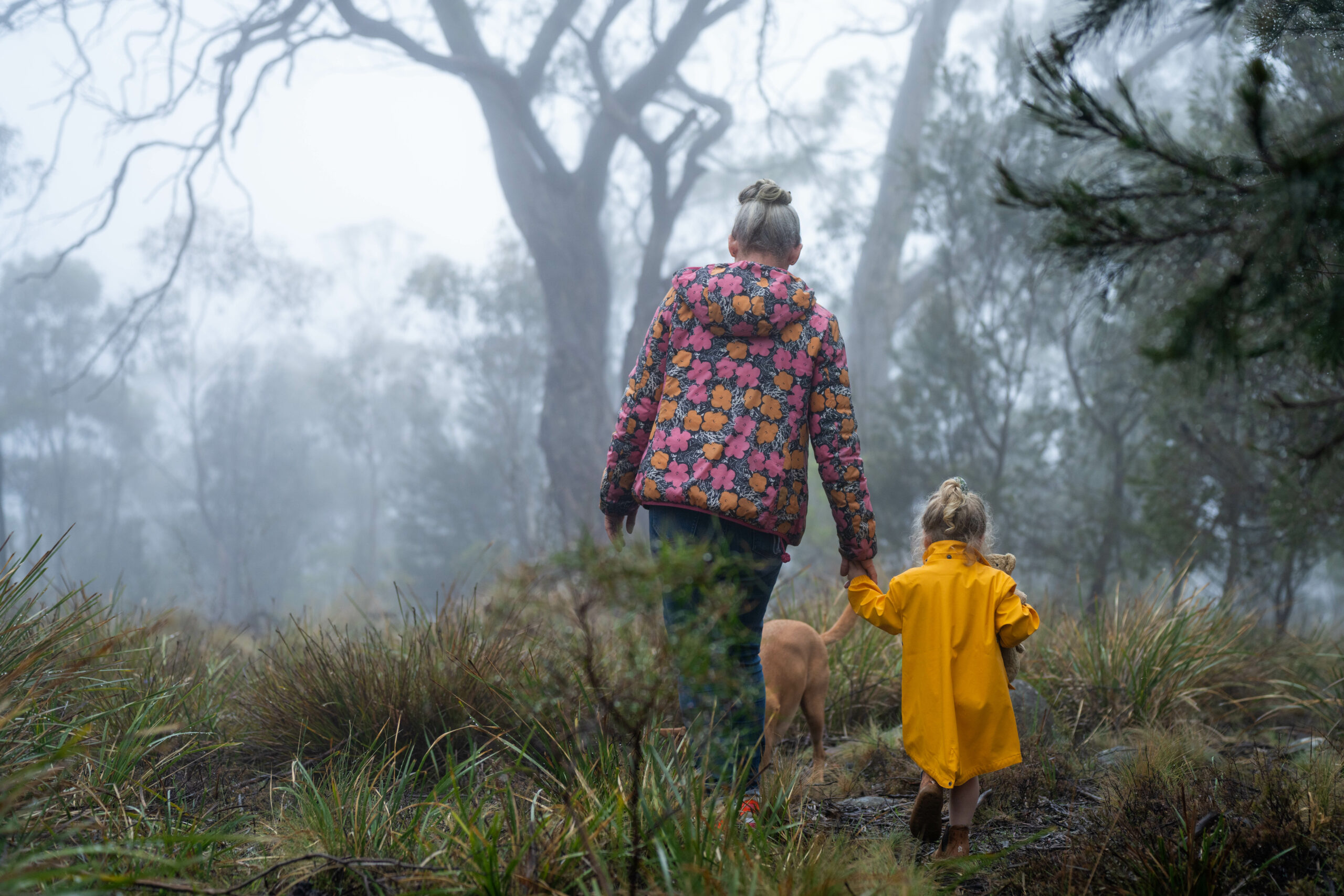 National Community Attitudes towards Violence against Women Survey (NCAS)