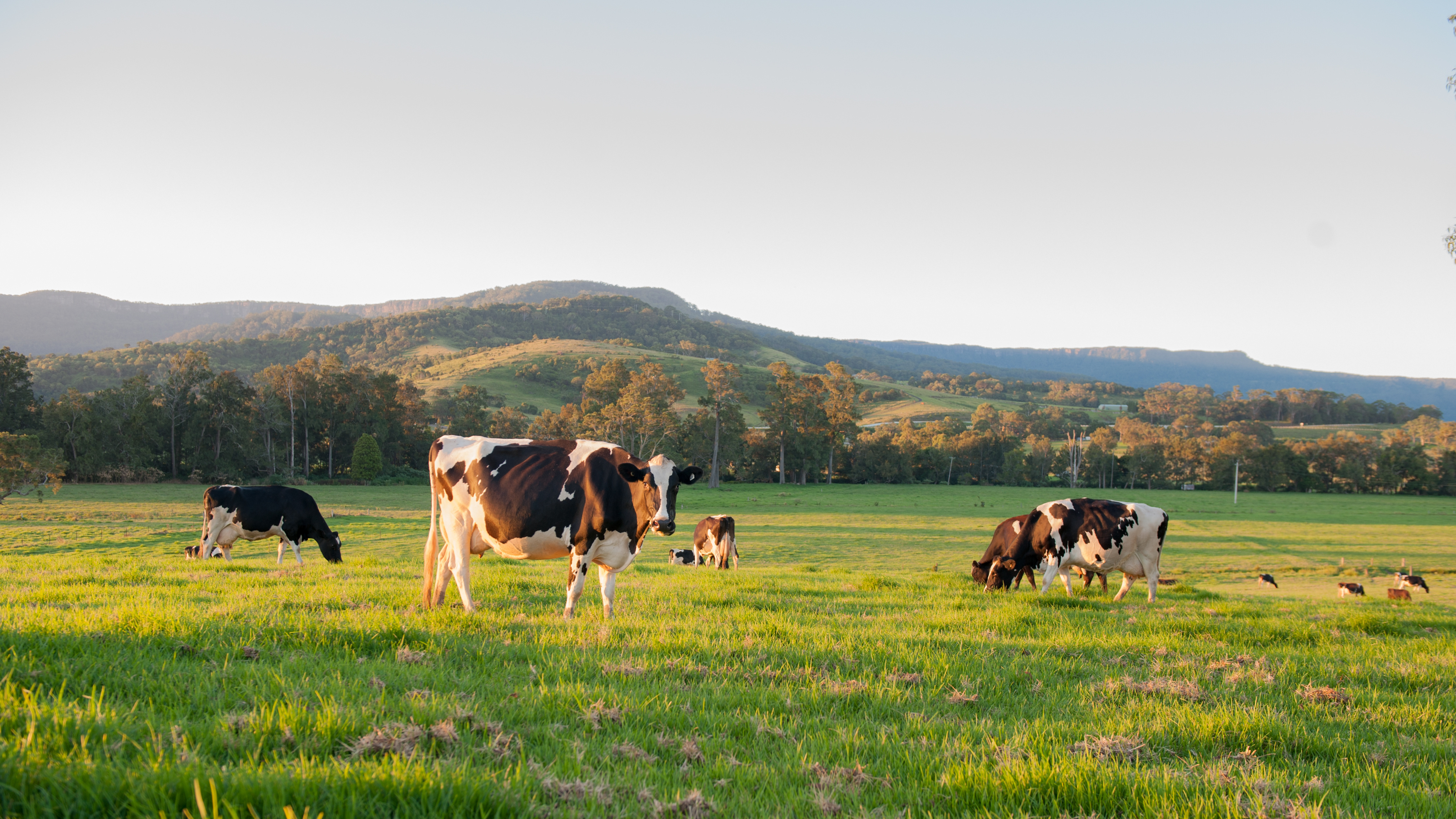 National Agricultural Land Management Survey (NALMS)