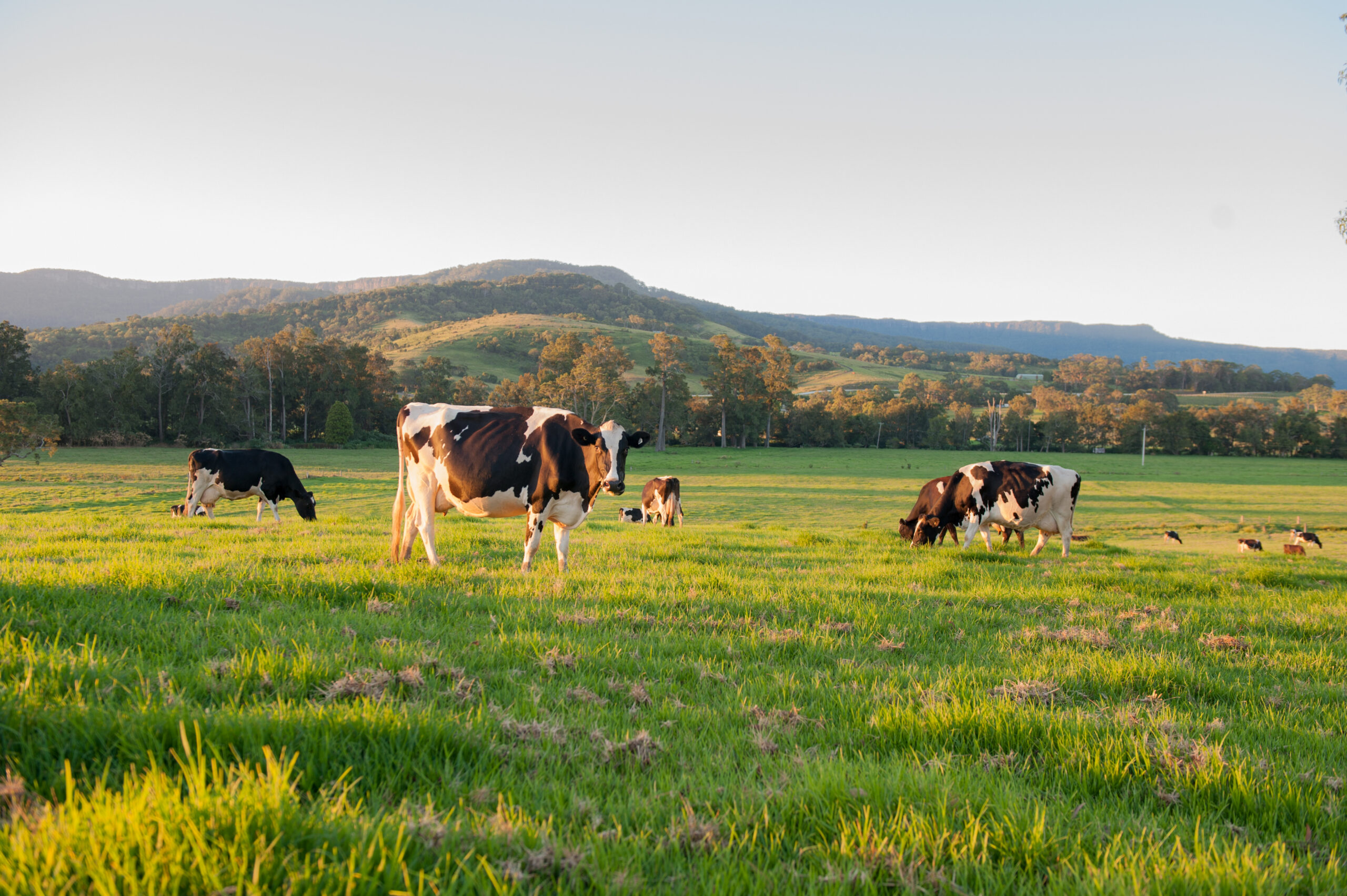 National Agricultural Land Management Survey (NALMS)