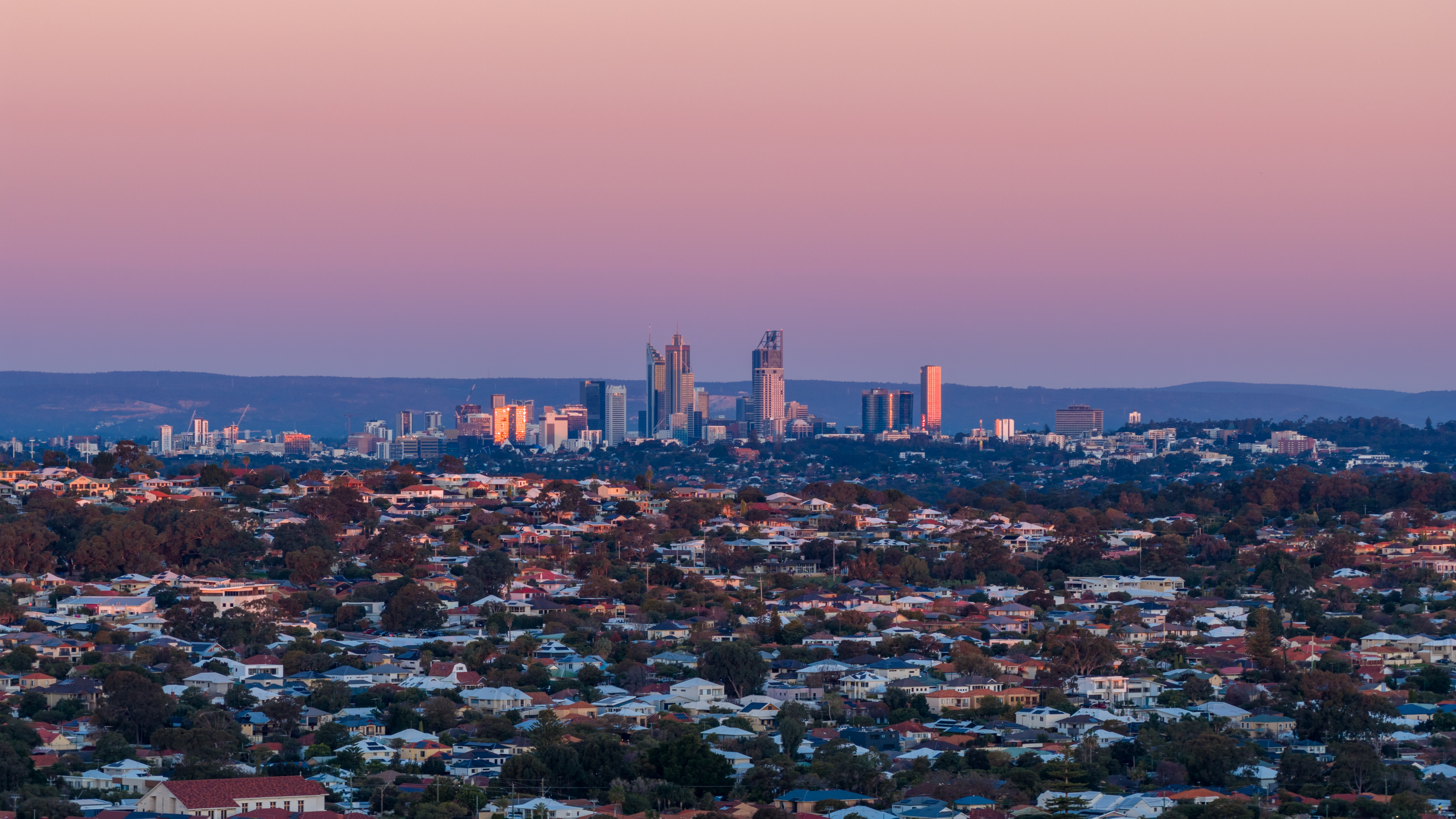 Drug Attitudes Survey 2025