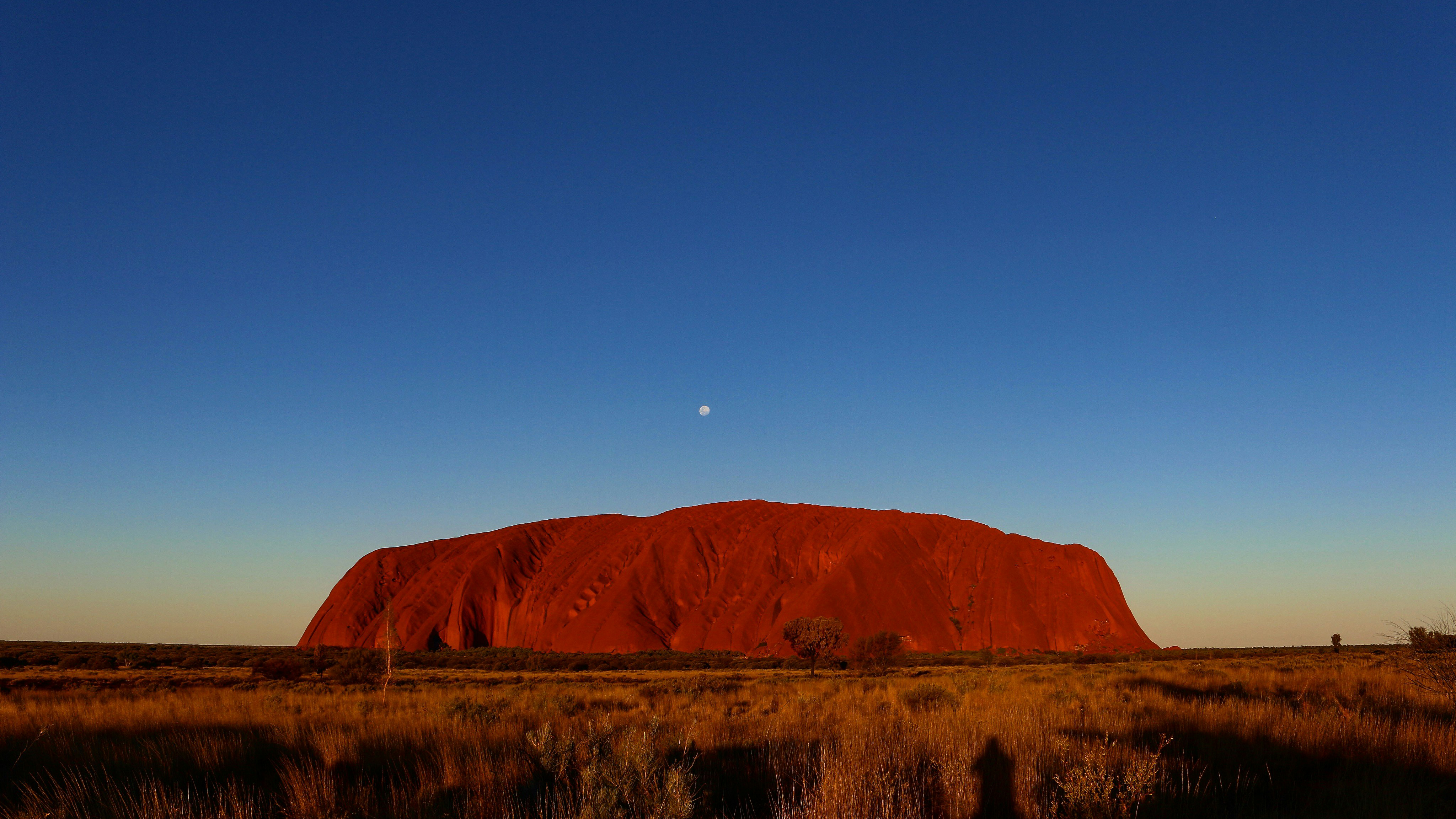 先住民雇用指数 2025